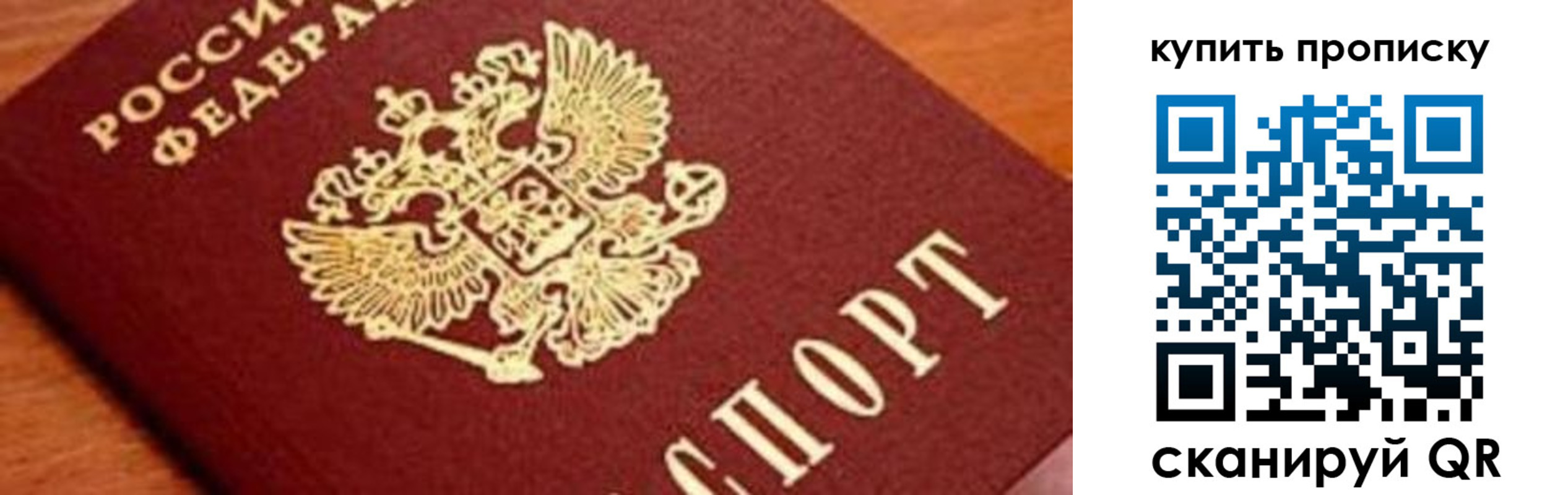 прописка для школы в Лыткарино